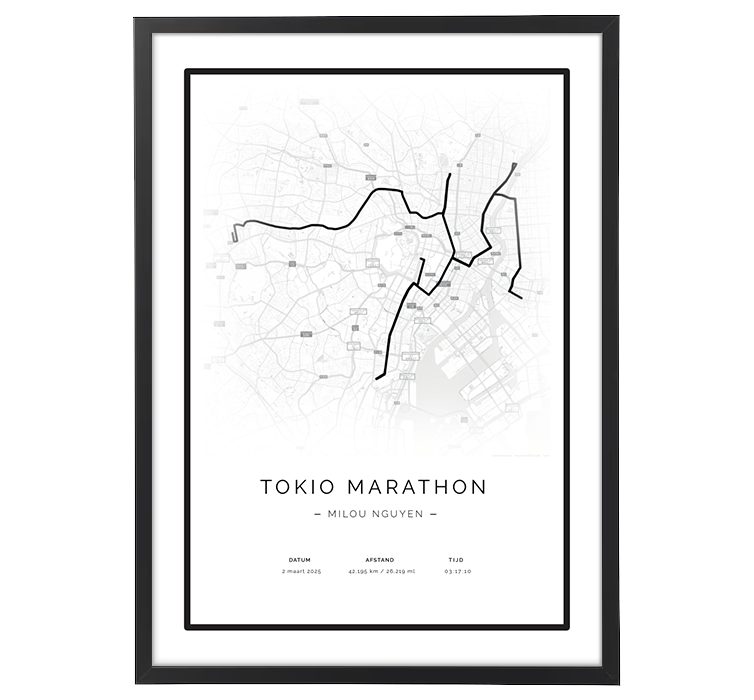 Tokio Marathon Retro Map